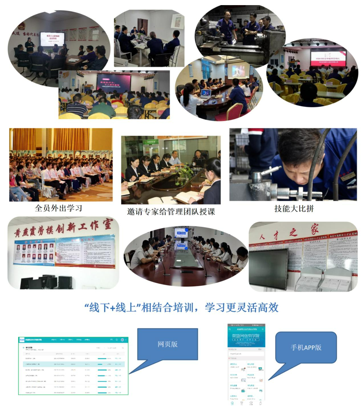 2025澳门免费原料网